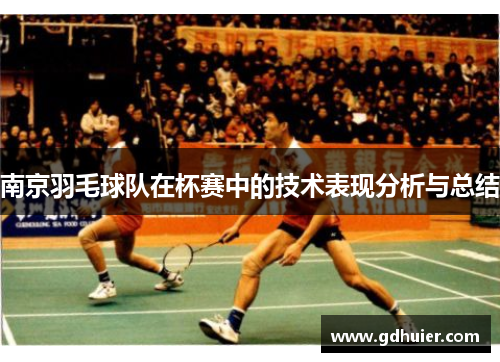 南京羽毛球队在杯赛中的技术表现分析与总结