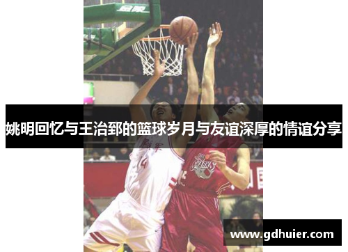 姚明回忆与王治郅的篮球岁月与友谊深厚的情谊分享